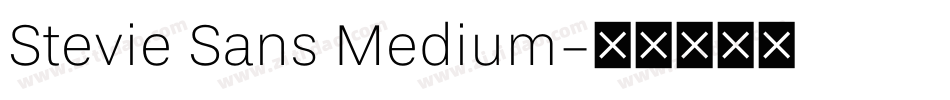 Stevie Sans Medium字体转换